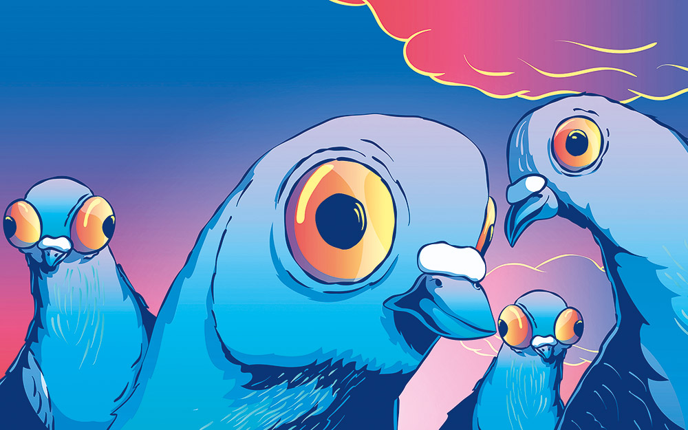 εσείς-ταϊζετε-τα-περιστέρια-562461679