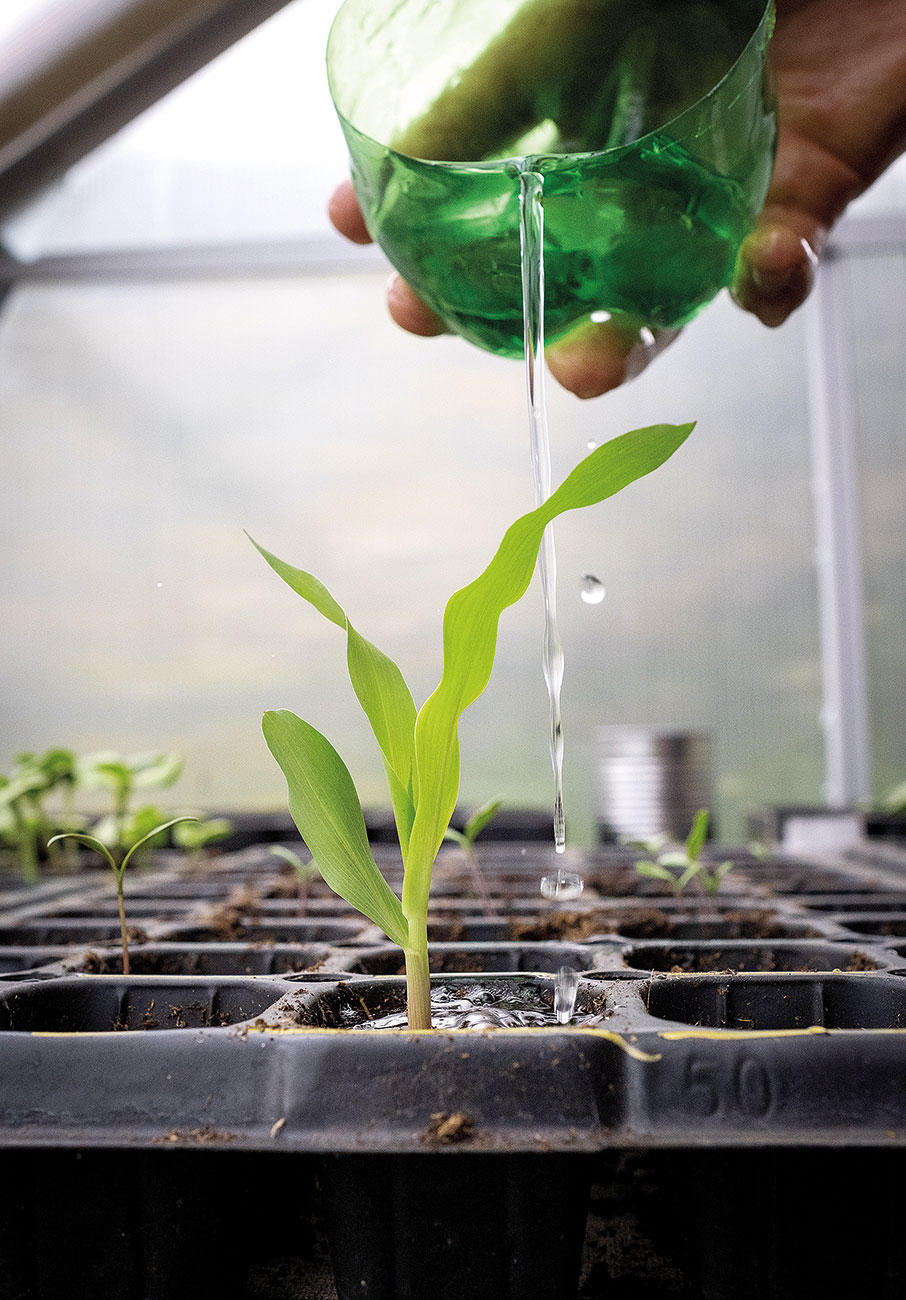 Πορτογαλία: Ενας οικολογικός παράδεισος στο Λουράλ-9