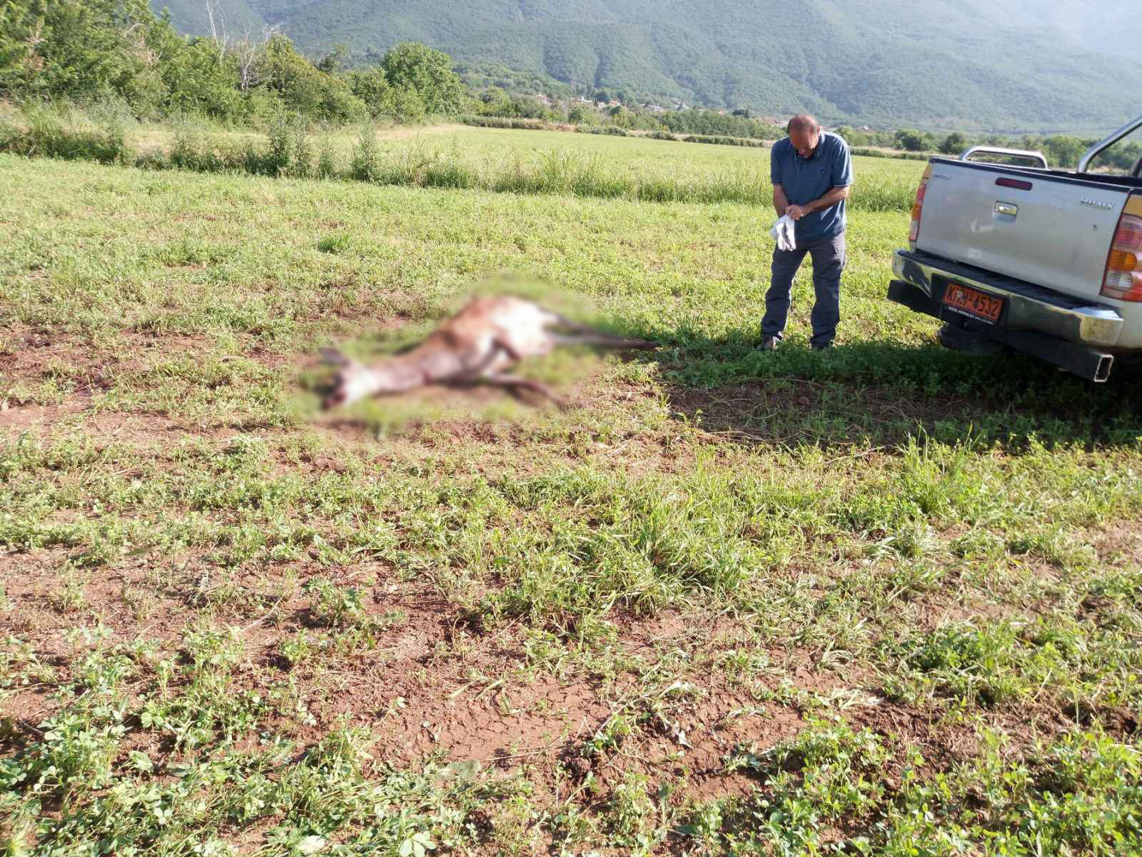 Μυστήριο με τα τρία νεκρά ελάφια στη λίμνη Κερκίνη-1