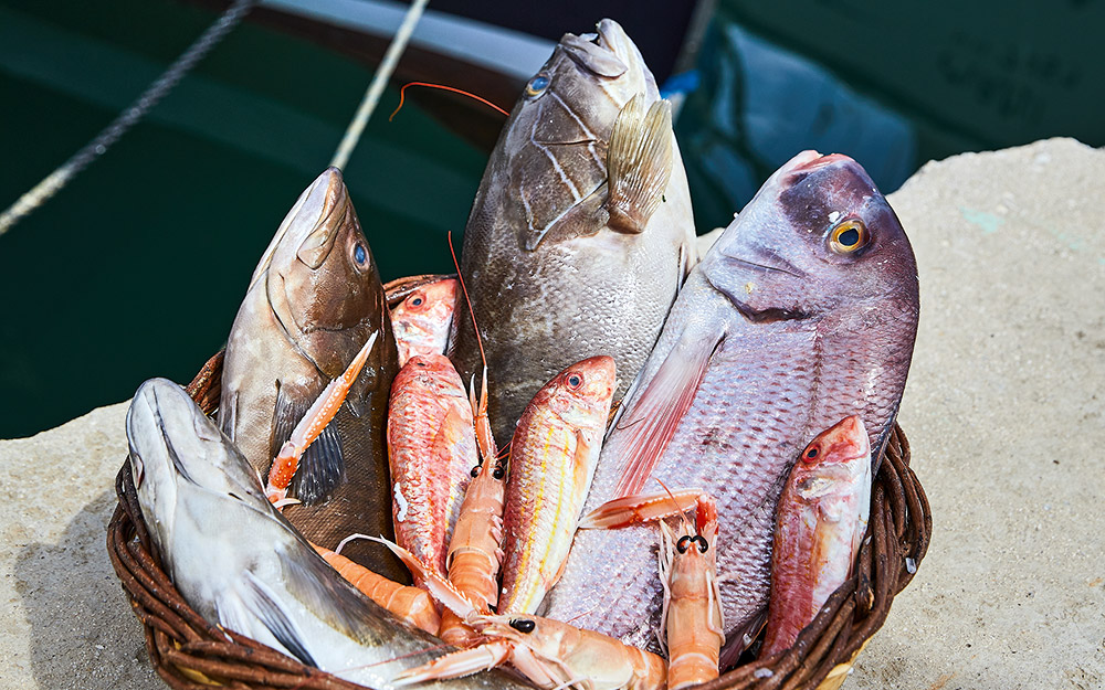 jimmys-fish-ένα-παλιό-μαγαζί-στο-μικρολίμανο-562461748