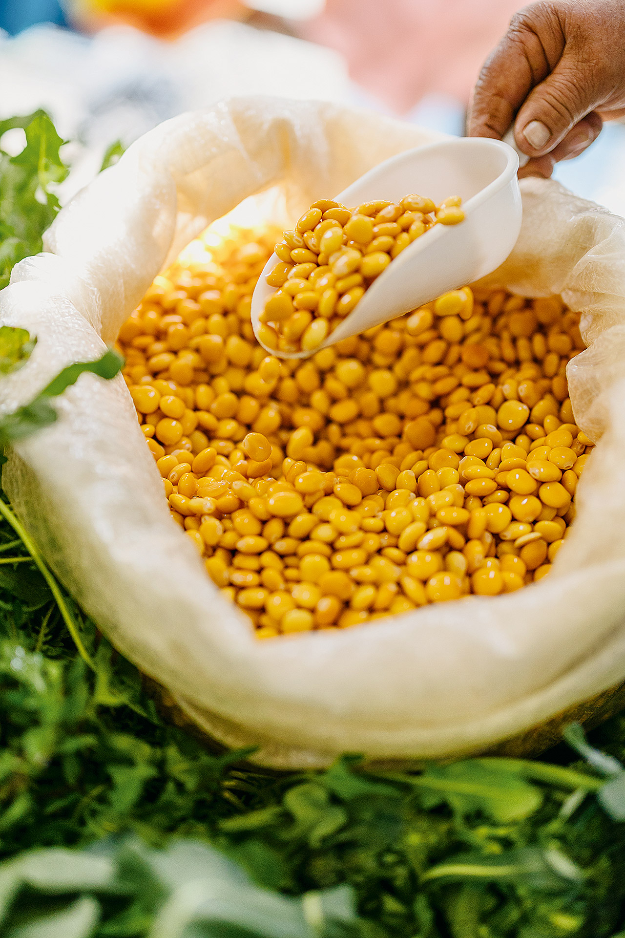 Κεντρική αγορά Καλαμάτας: Όλη η Μεσσηνία από το χωράφι στον πάγκο-1