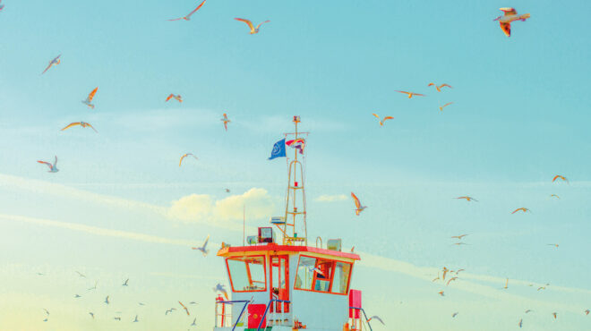 accidentally-wes-anderson-φωτογραφίες-εμπνευσμένες-από-το-562494403