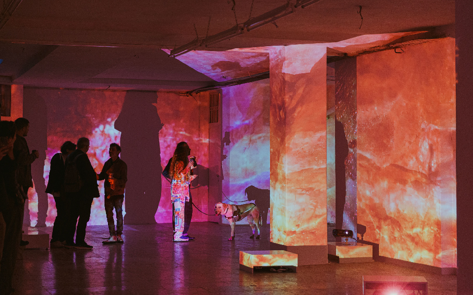 entrails-mια-ενορχήστρωση-εντάσεων-συναισθη-562452391