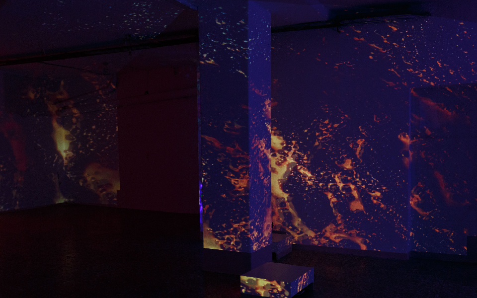 Entrails: Mια ενορχήστρωση εντάσεων, συναισθημάτων και αφηγηματικών θραυσμάτων-1