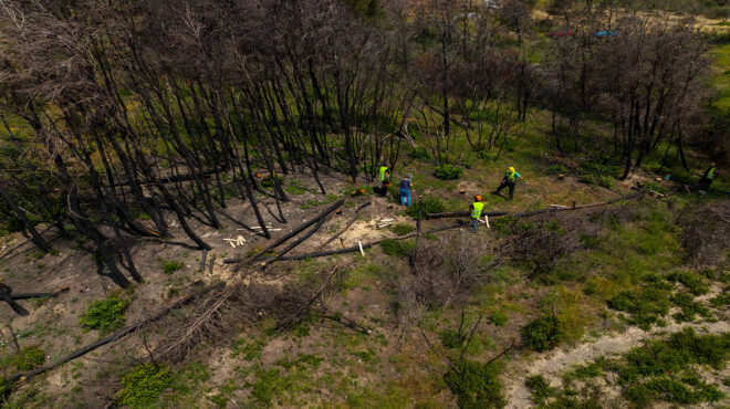 prodea-investments-ανάπτυξη-με-έμφαση-στην-αειφορία-562471990