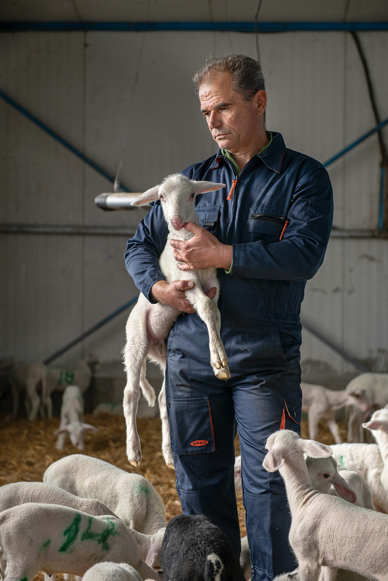 Γνωρίζουμε τον Αώο, το πιο άγριο ποτάμι της γηραιάς ηπείρου-2