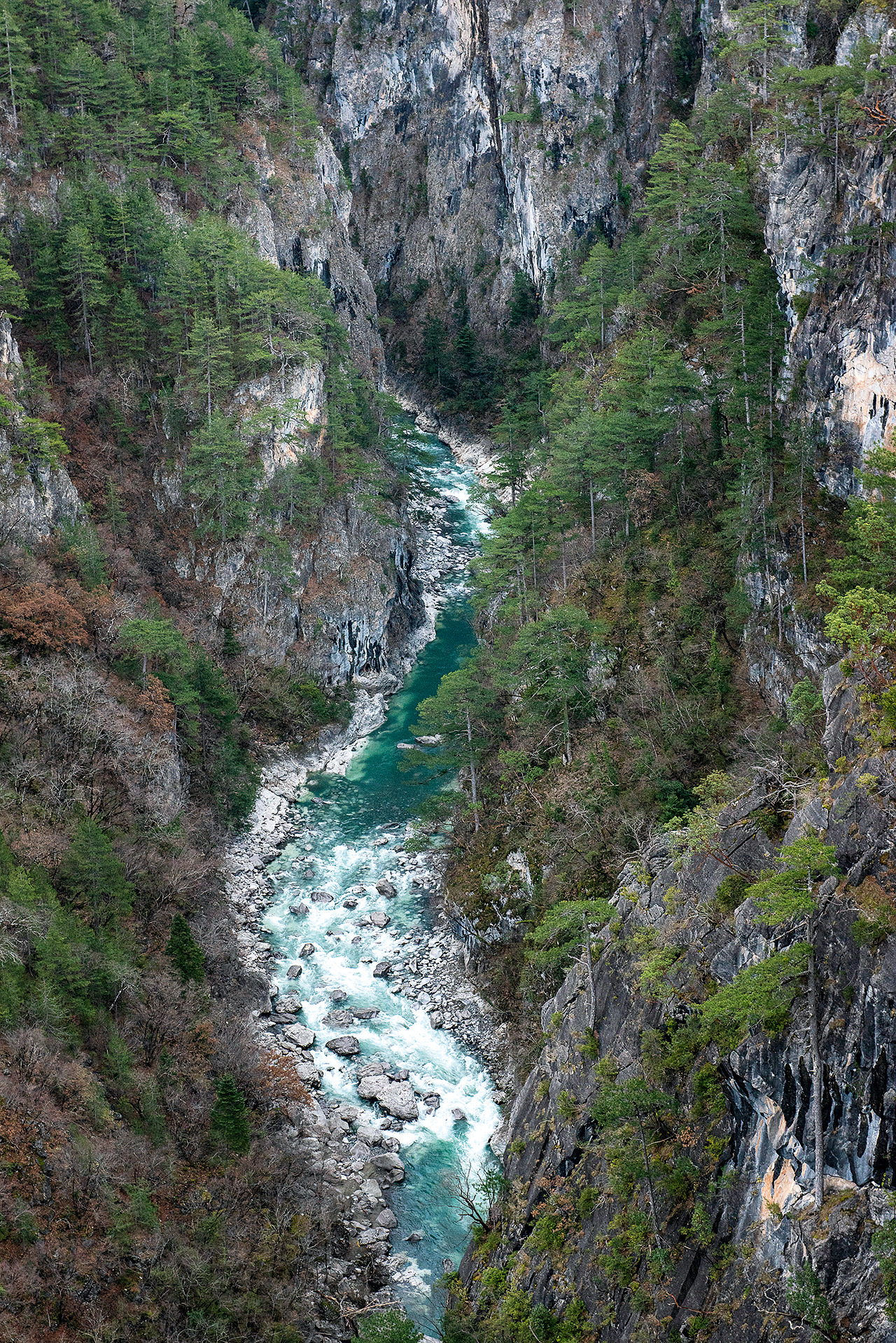 Γνωρίζουμε τον Αώο, το πιο άγριο ποτάμι της γηραιάς ηπείρου-3