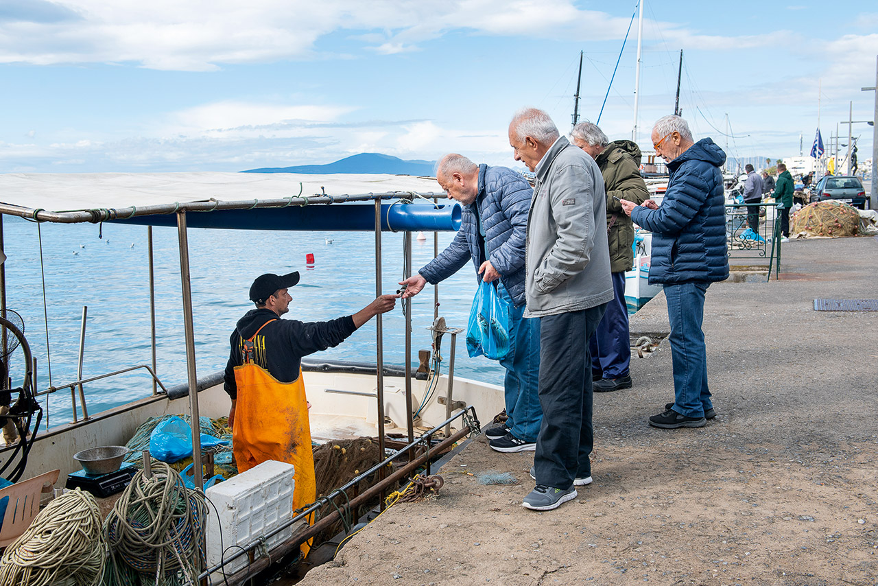Αρματώσαμε δίχτυα και βγήκαμε για μπακαλιάρους στον Μεσσηνιακό κόλπο-4