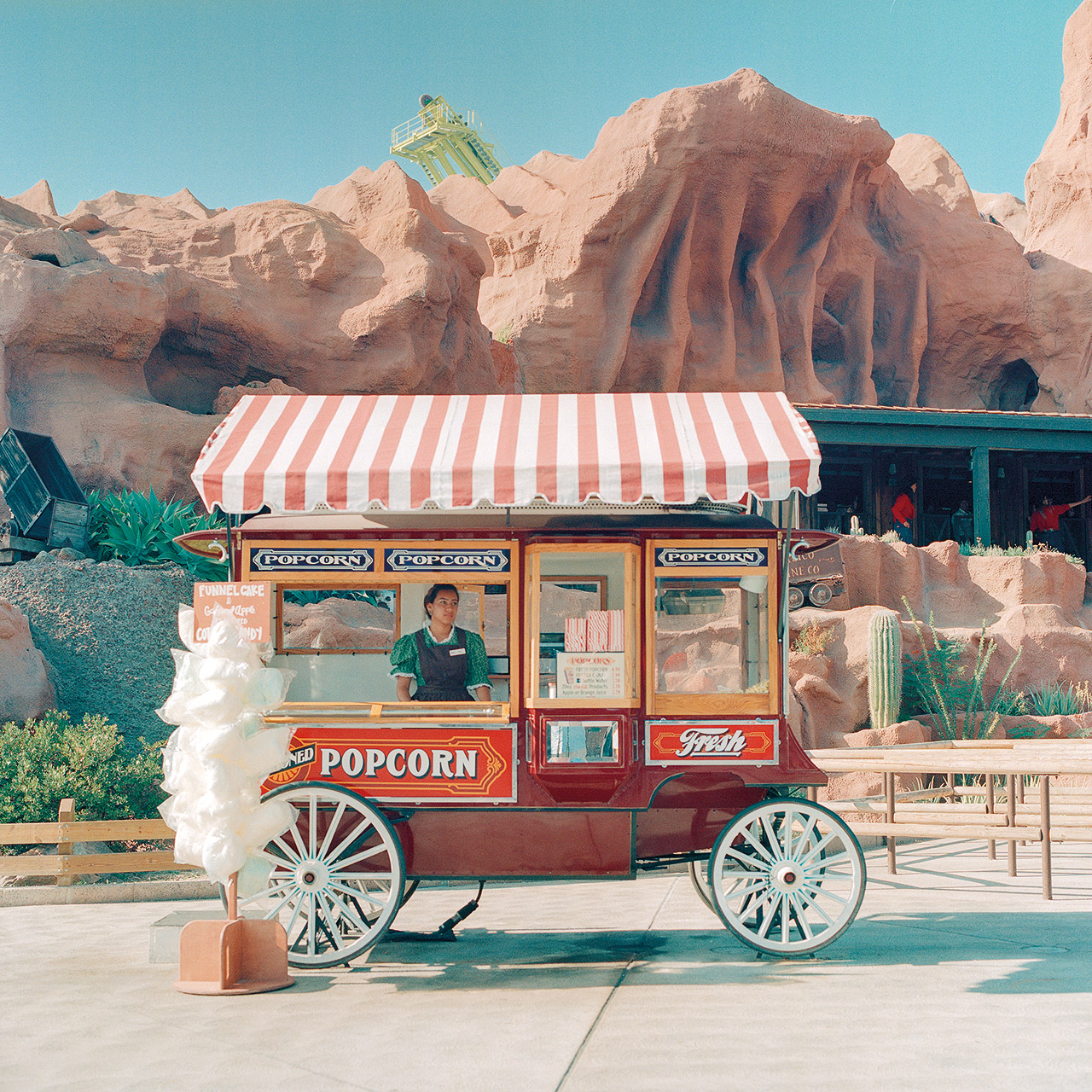 Accidentally Wes Anderson: Φωτογραφίες εμπνευσμένες από τον κόσμο του σκηνοθέτη-7