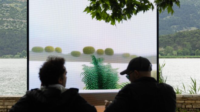 πλάσματα-στην-όχθη-της-παμβώτιδας-562487914