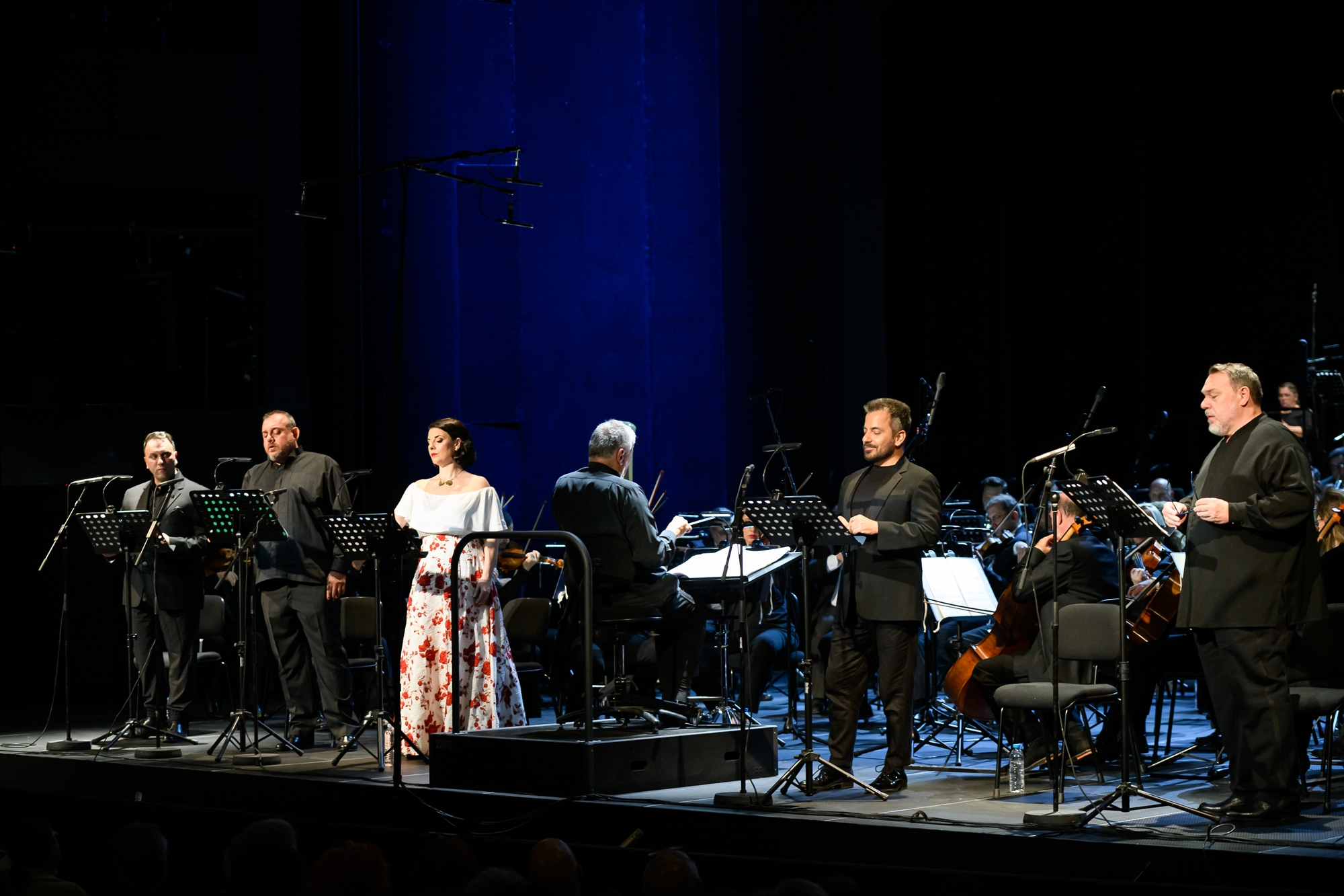 αναβίωση-για-τη-λησμονημένη-λιονέλλ-562464037