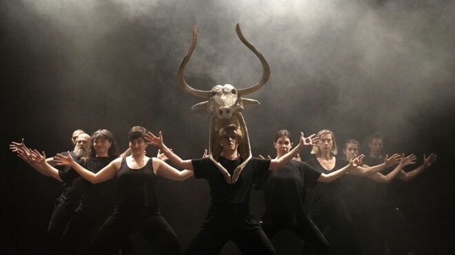 οι-αναστενάρηδες-ακόλουθοι-του-διονύ-562488445