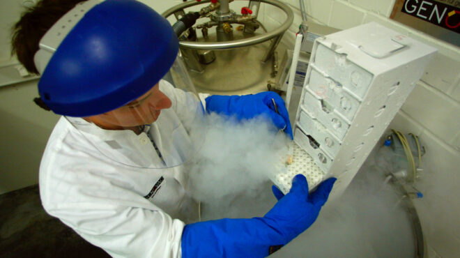 η-ελληνική-φαρμακοβιομηχανία-επενδύ-562486906