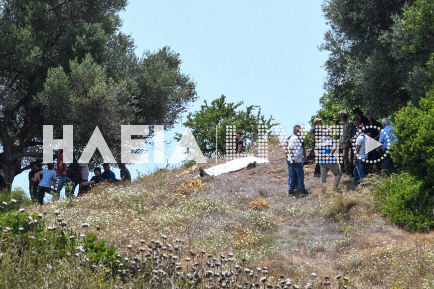 Ηλεία: Τον σκότωσε για τα πρόβατα – Οι διαφορές που οδήγησαν στην τραγωδία-1