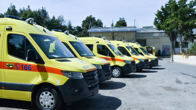 σπερχειάδα-αγρια-επίθεση-σε-δασοφύλα-562485778