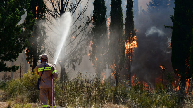 φωτιά-τώρα-στο-πήλιο-562496377
