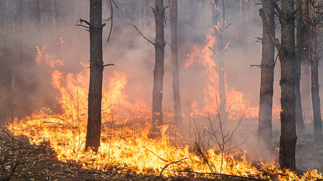 κύπρος-8-χρόνια-κάθειρξης-σε-αγρότη-για-562466755