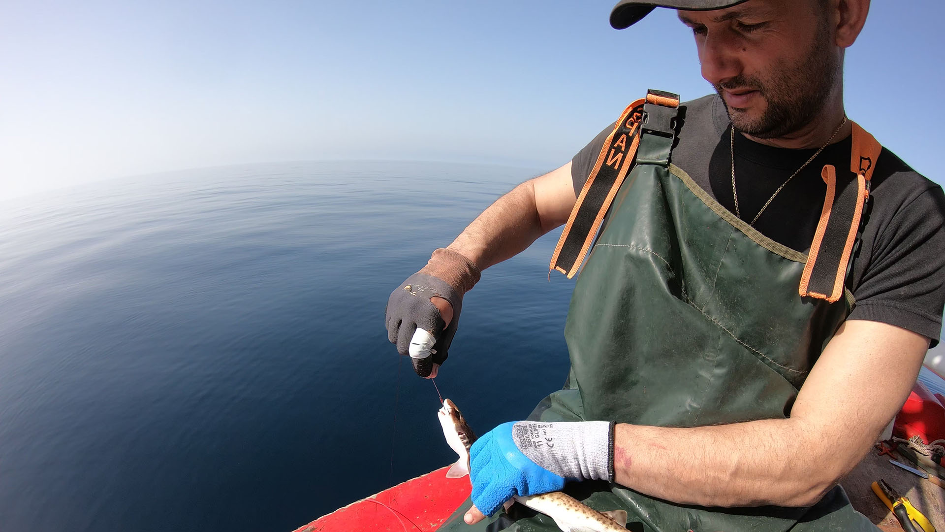 «Κάποιοι ψαράδες θεωρούν ακόμα τρόπαιο τον καρχαρία»-4