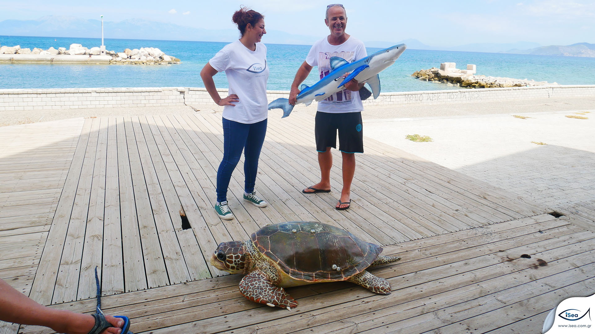 «Κάποιοι ψαράδες θεωρούν ακόμα τρόπαιο τον καρχαρία»-3