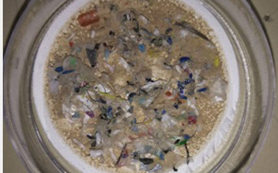 Μικροπλαστικά στο πιάτο μας μέσω των ψαριών-1