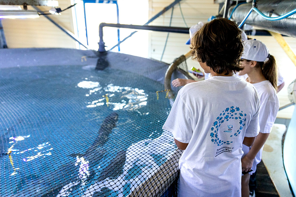 Η Ελληνική Ιχθυοκαλλιέργεια Ανοίγει τις Πόρτες της σε Μαθητές Δημοτικού-2