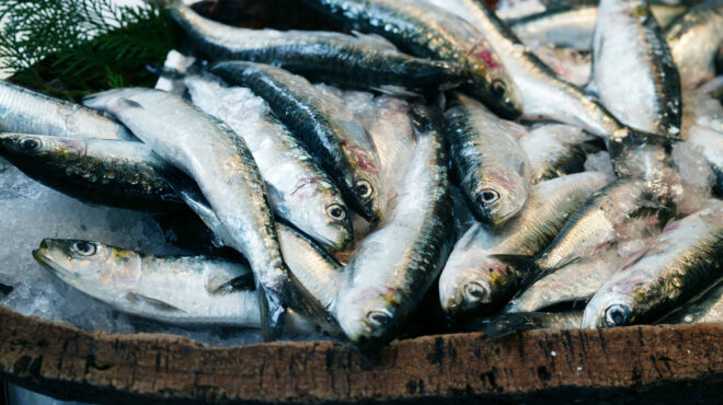 οι-10-πιο-υγιεινές-τροφές-που-θα-έπρεπε-ν-562492990