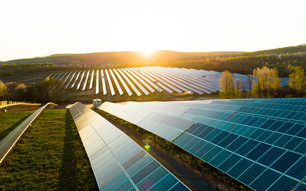 επάρκεια-ασφάλεια-προσιτές-τιμές-και-562457947