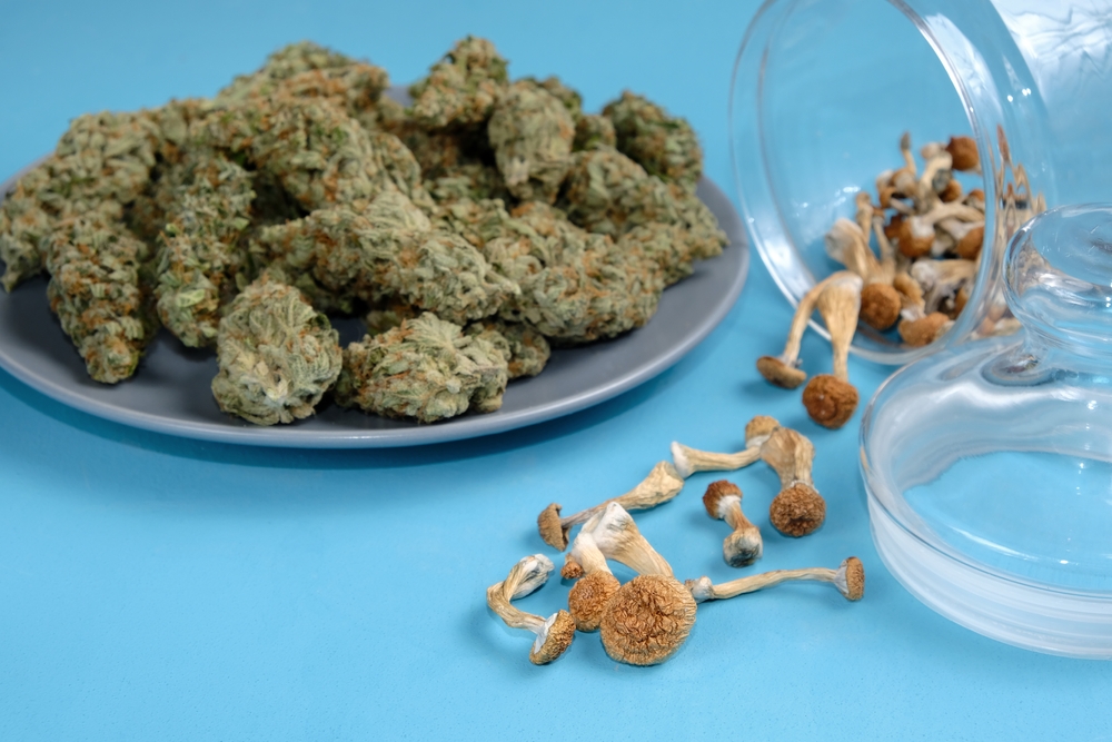 Κεταμίνη, «μαγικά» μανιτάρια και LSD: Καριέρα και ψυχεδέλεια στη Silicon Valley-1