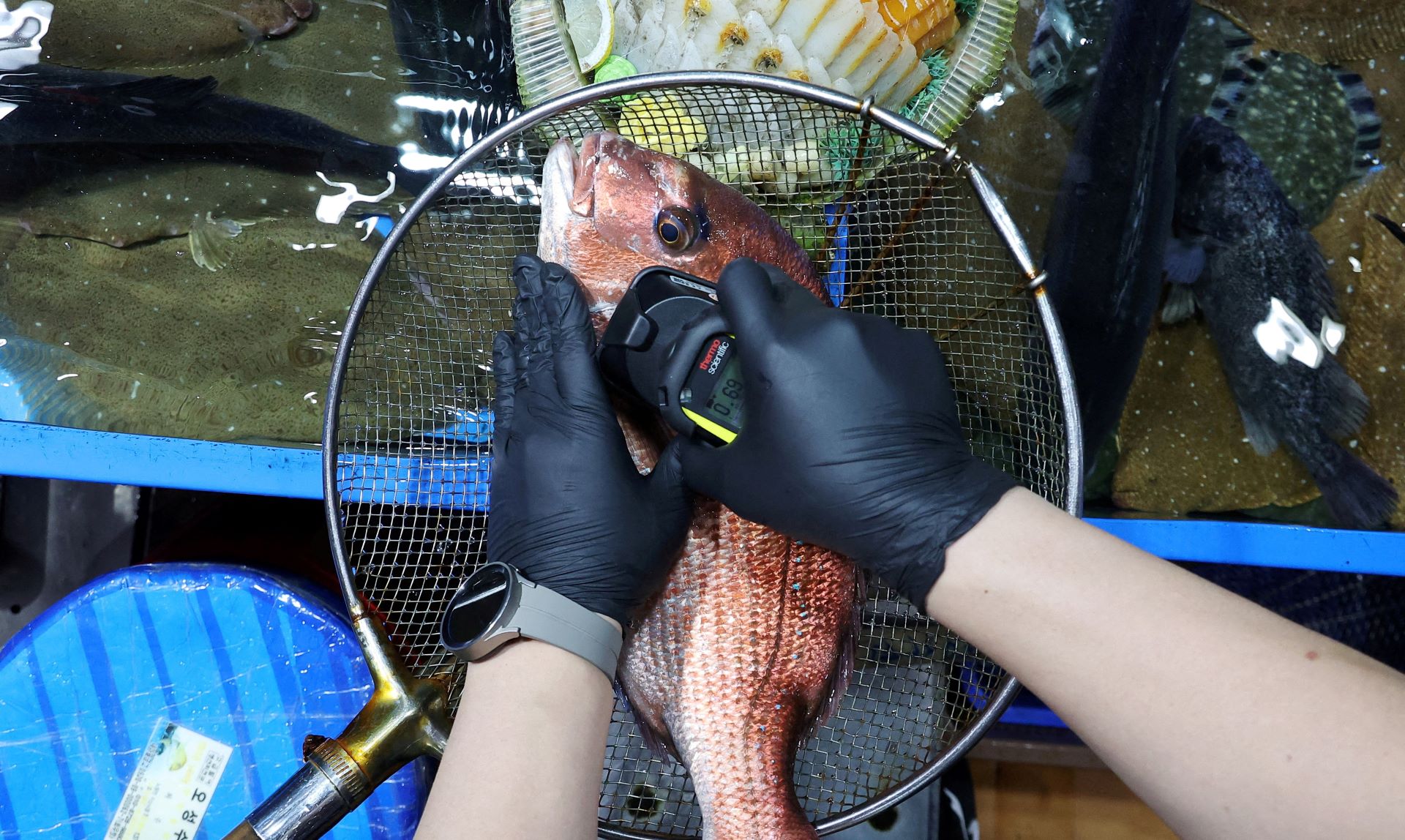 Νότια Κορέα: Τέλος το αλάτι στα ράφια των σούπερ μάρκετ – Γιατί οι πολίτες «στοκάρουν» θαλασσινά;-2