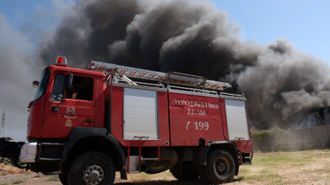 ηράκλειο-πυρκαγιά-στη-βαγιονιά-του-δή-562526599
