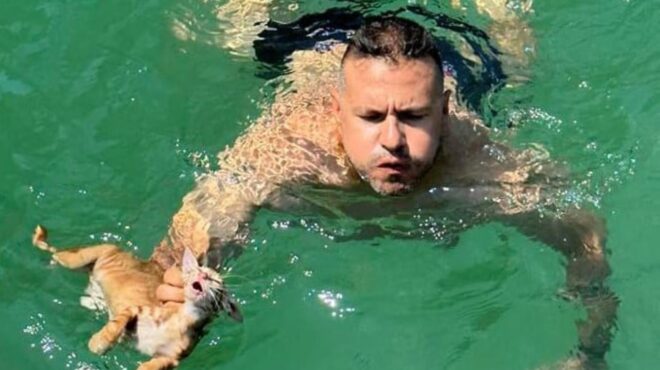 σαλαμίνα-βούτηξε-από-το-ferry-boat-για-να-σώσει-562516687