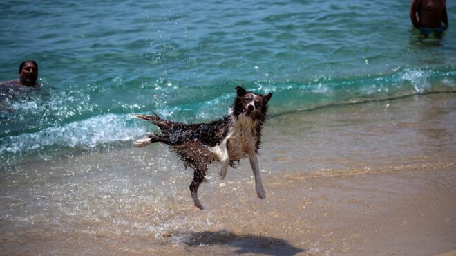 συντριβάνια-ανεμιστηράκια-βουτιές-ο-562528336