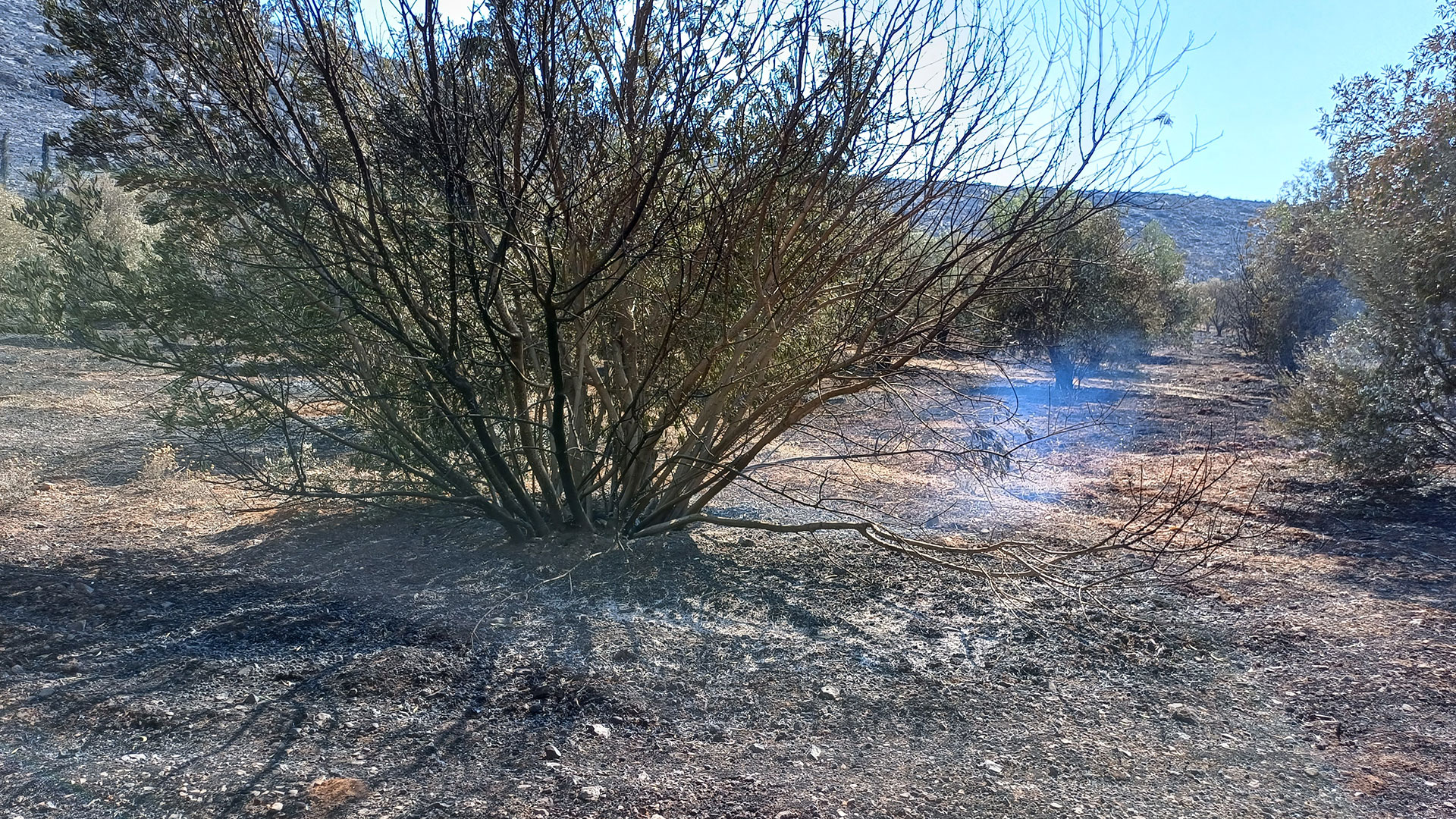 «Αφού δεν καήκαμε όλοι…» – Συγκλονιστικές μαρτυρίες στην «Κ»-6