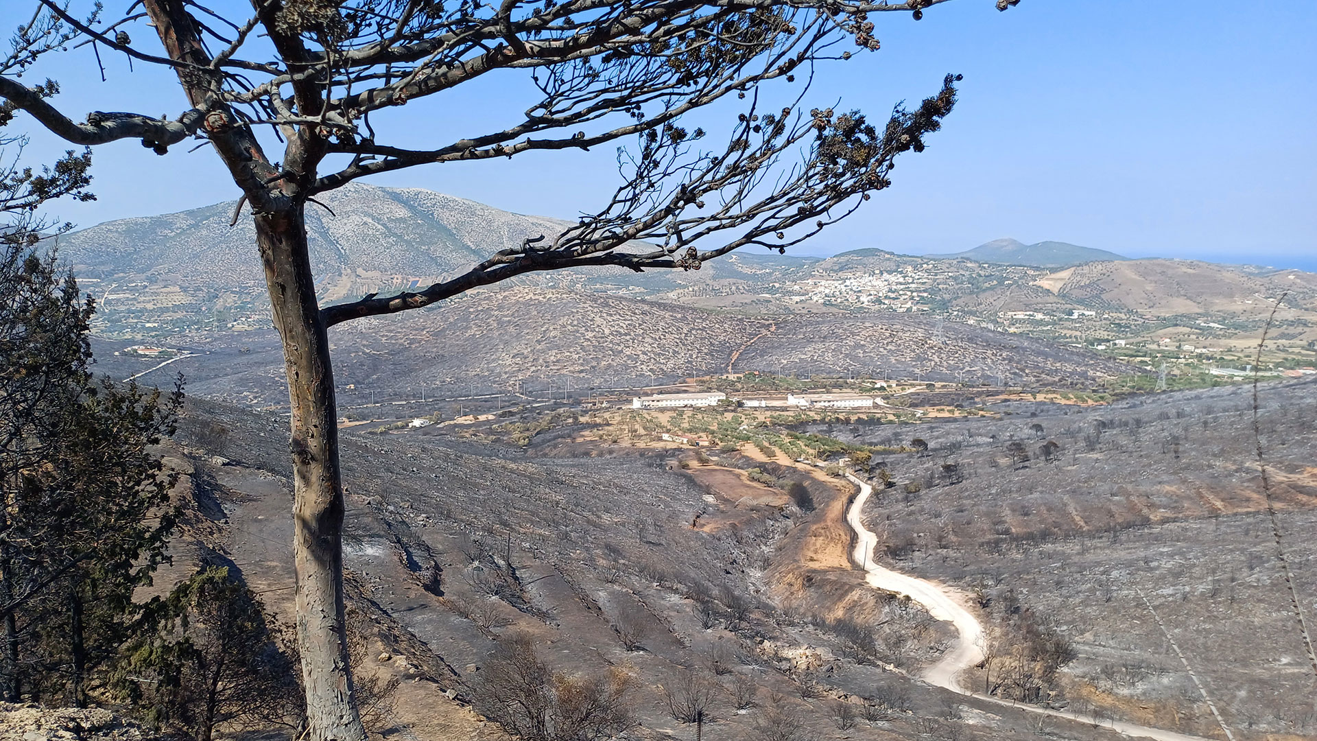 «Αφού δεν καήκαμε όλοι…» – Συγκλονιστικές μαρτυρίες στην «Κ»-1