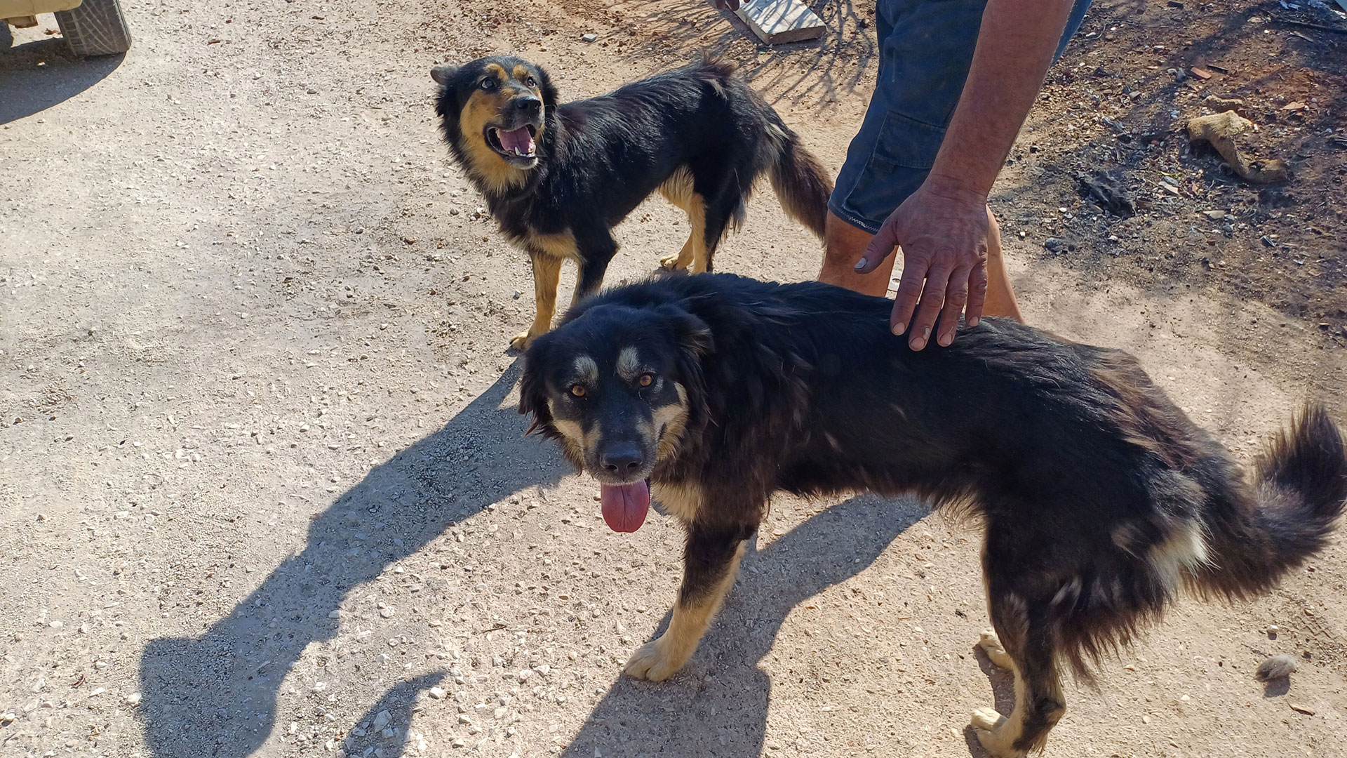 «Αφού δεν καήκαμε όλοι…» – Συγκλονιστικές μαρτυρίες στην «Κ»-4