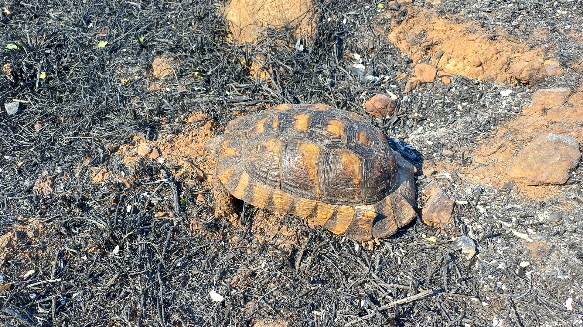 «Αφού δεν καήκαμε όλοι…» – Συγκλονιστικές μαρτυρίες στην «Κ»-5