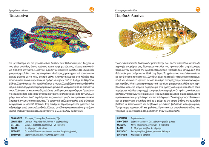 «Τα Ψάρια της Ελλάδας»: Το βιβλίο για τον πλούτο της ιχθυοπανίδας των ελληνικών θαλασσών-2