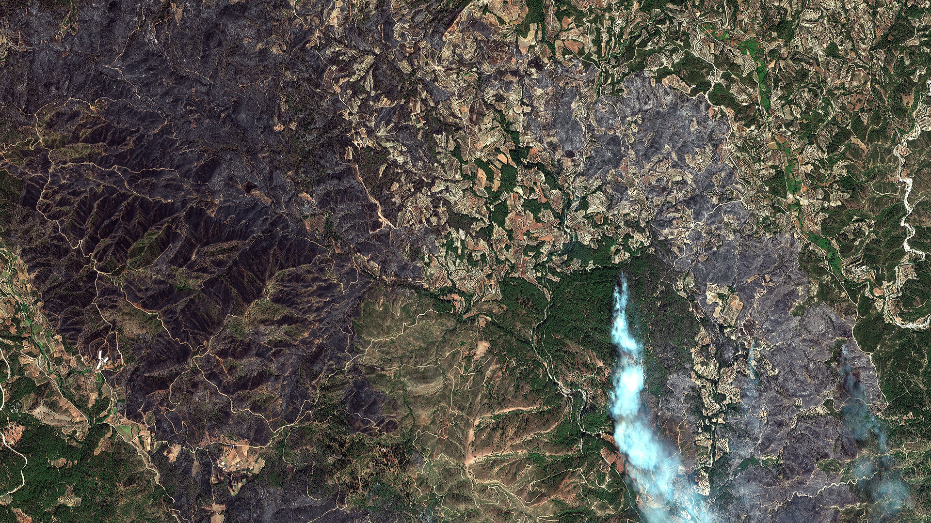 Φωτιές στη Ρόδο: Δορυφορικές φωτογραφίες αποτυπώνουν το μέγεθος της καταστροφής-3