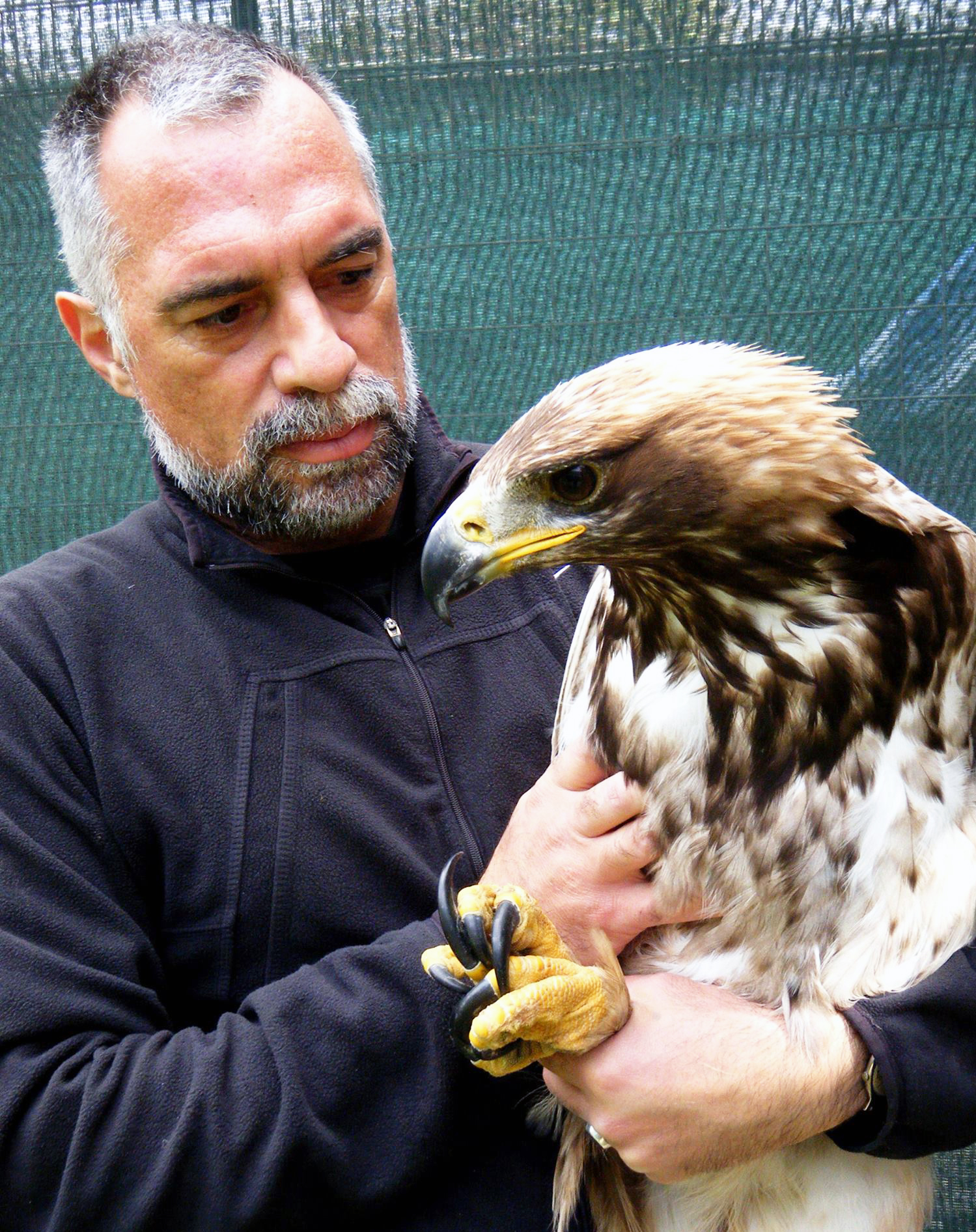 Προστασία πτηνών: «Τους δίνουμε μια δεύτερη ευκαιρία στη ζωή»-2