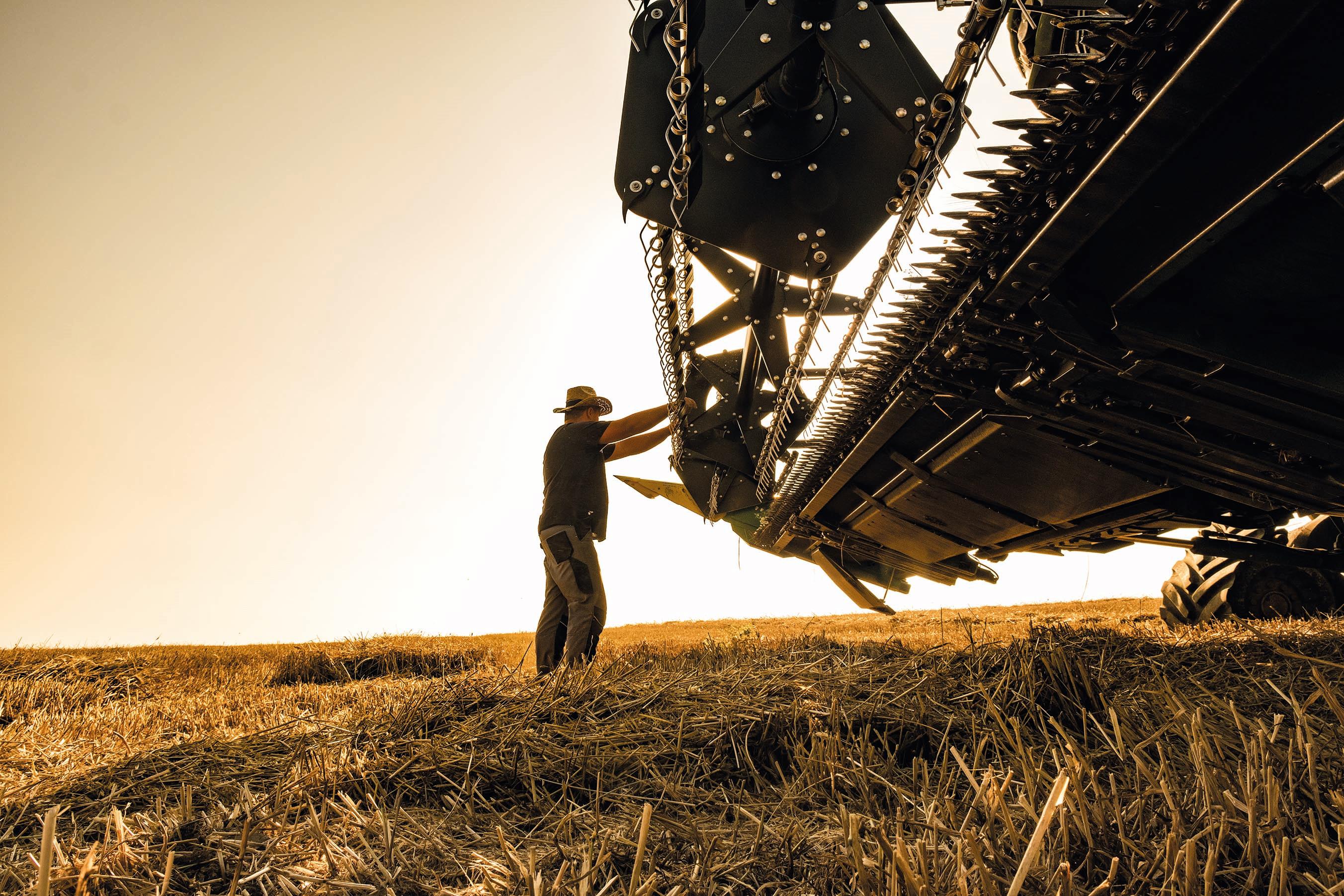 Οι σιτοβολώνες της Θεσσαλίας σε πρώτο πλάνο-1