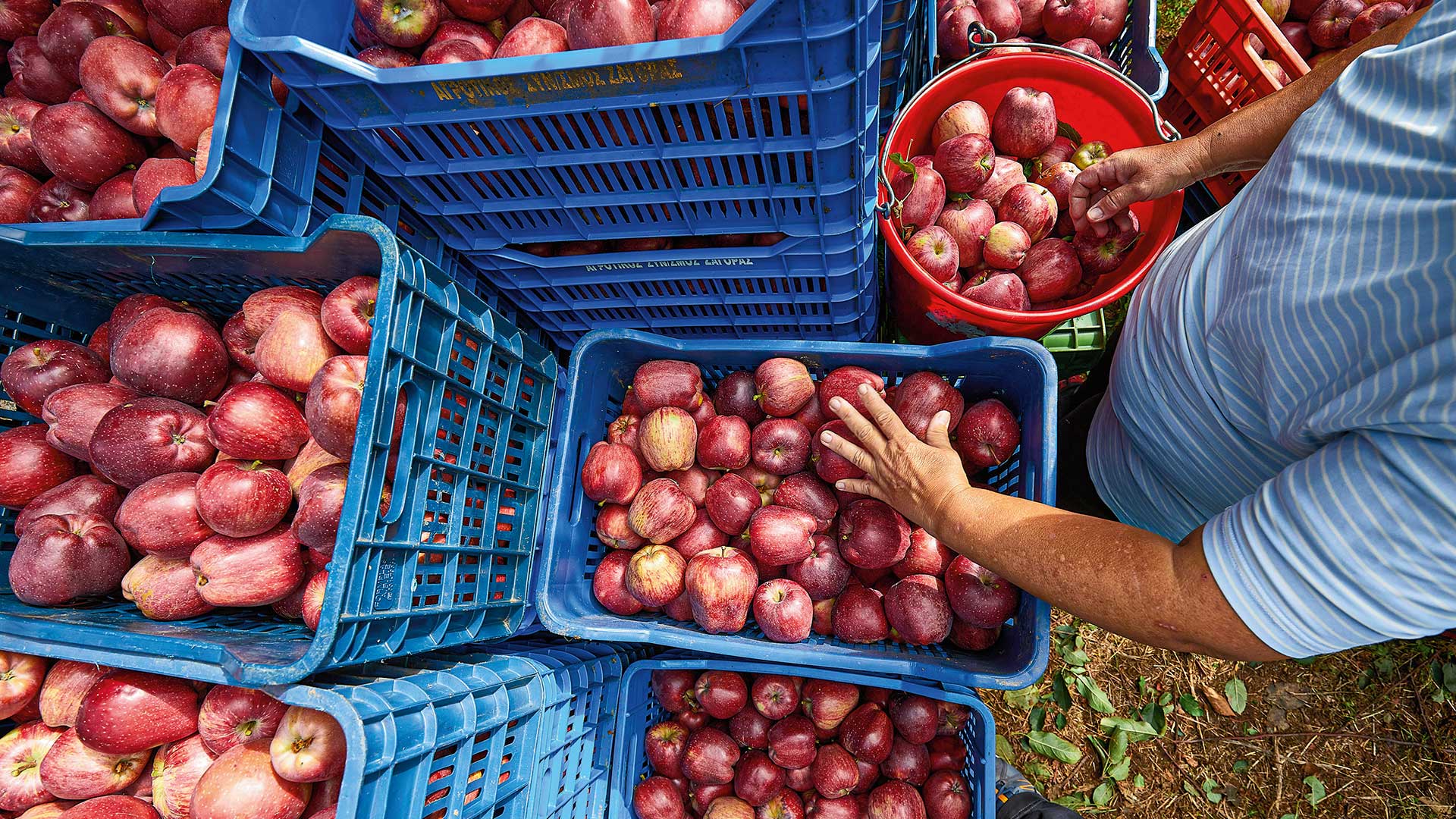 Τα road trips του καλοκαιριού: Ανατολικό Πήλιο-4