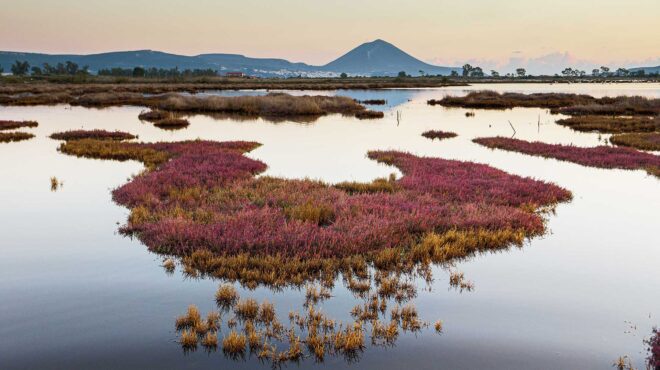 τα-road-trips-του-καλοκαιριού-πύλος-562547095