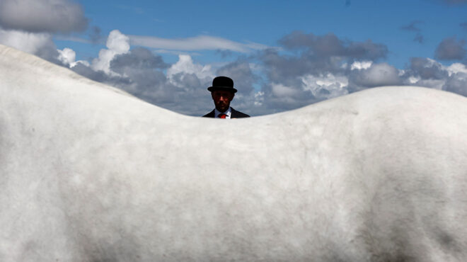 ο-μαγκρίτ-στην-ιρλανδία-562514002