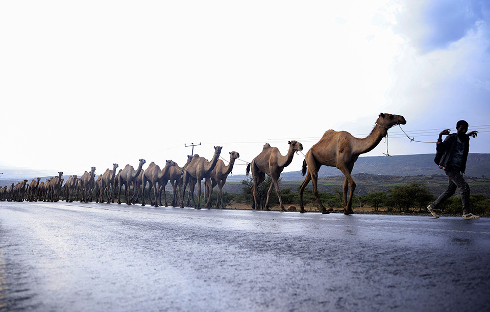 Ο Μαγκρίτ στην Ιρλανδία-3