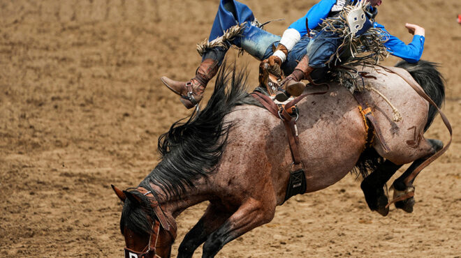 δίδυμη-φλόγα-562515820