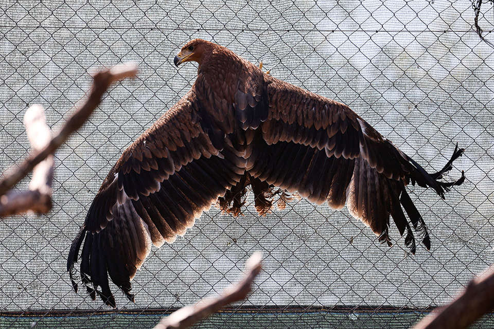 Υπάρχουν ακόμη-3