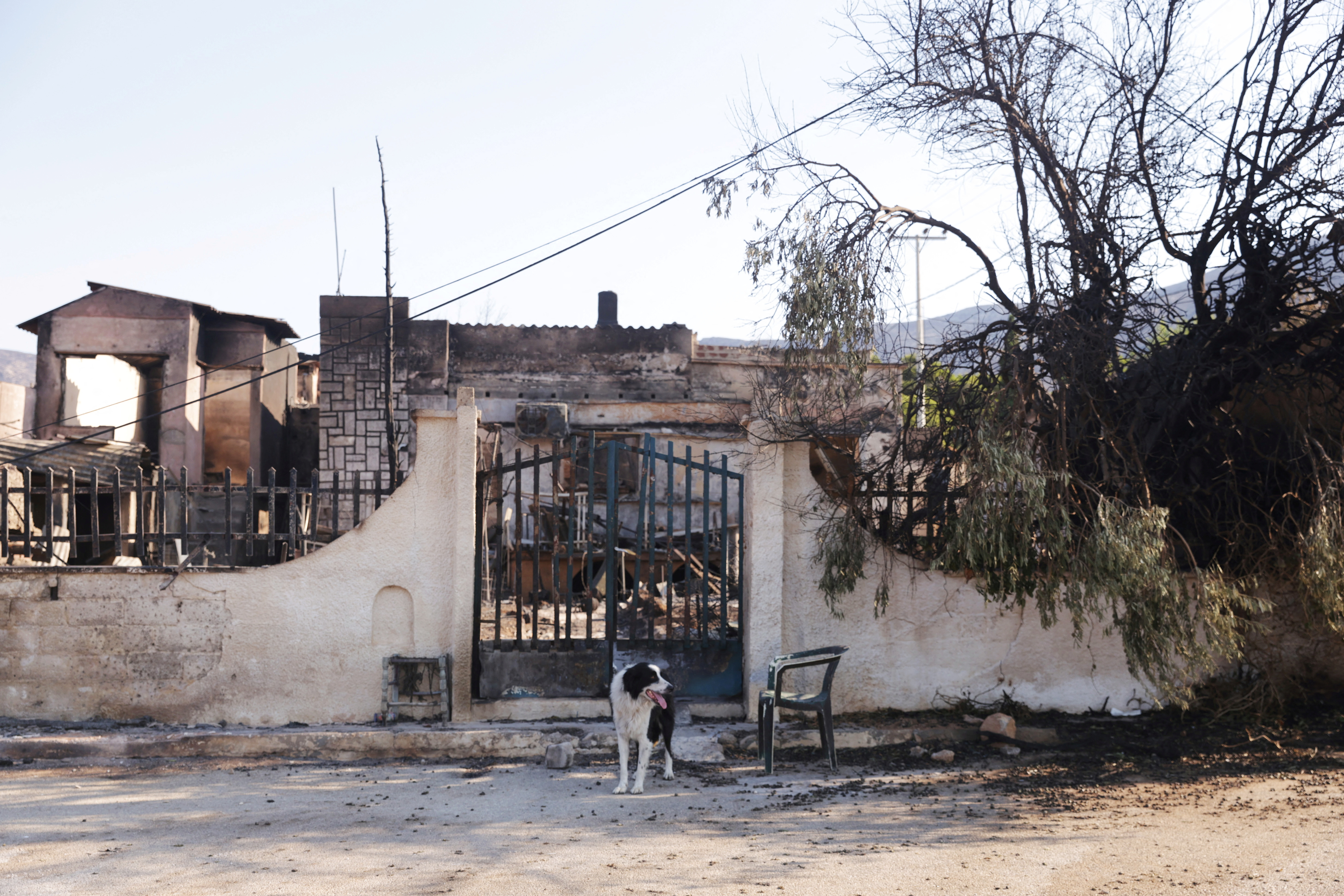 Πυρκαγιές: Η Ανατολική Αττική μετρά τις πληγές της – Μεγάλες καταστροφές-10