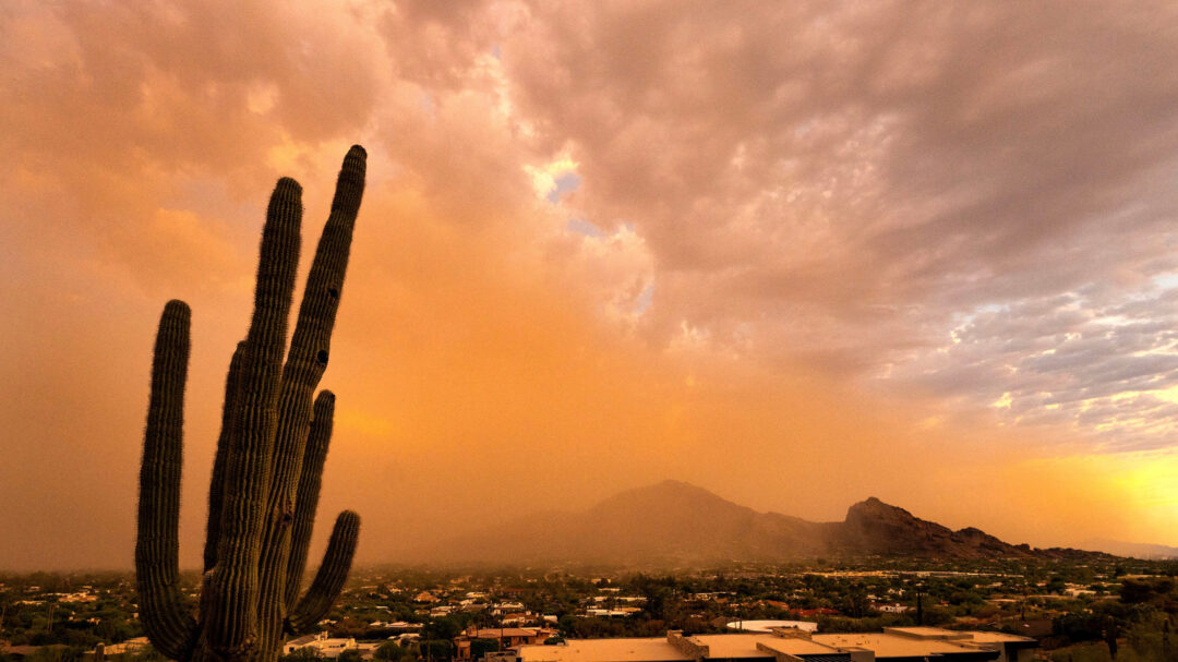 καύσωνας-o-σιωπηλός-δολοφόνος-τρομο-562532344