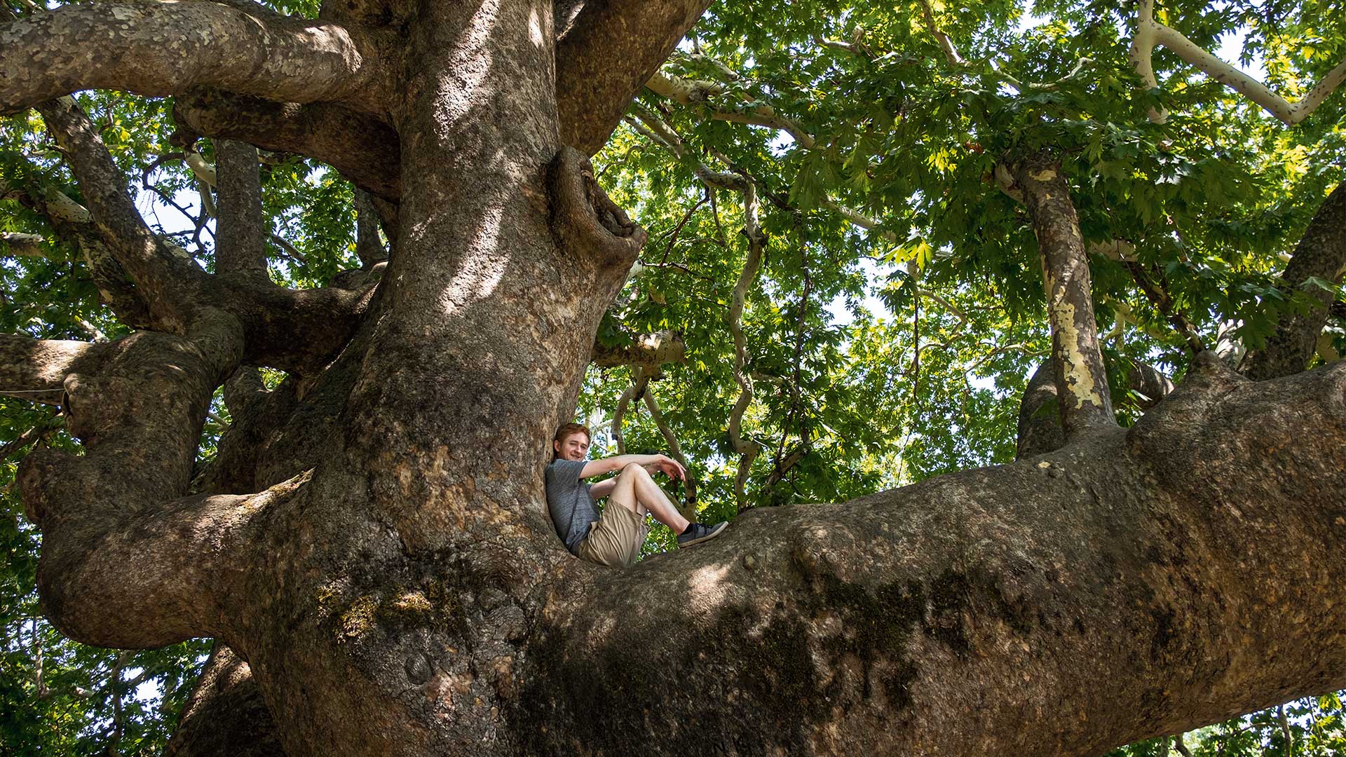 Τα road trips του καλοκαιριού: Ανατολικό Πήλιο-2