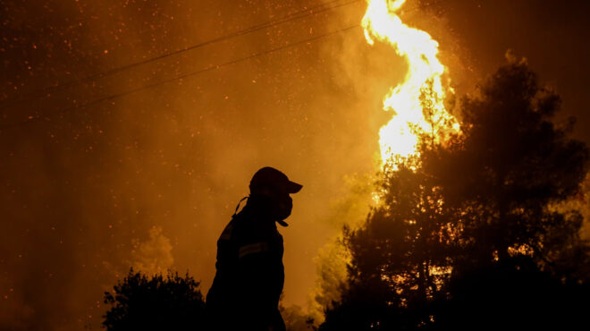 βοιωτία-πυρκαγιά-σε-δασική-έκταση-στα-562525351